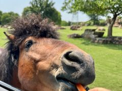 -石家庄市动物园