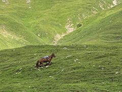 -新疆那拉提国家旅游度假区