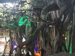 -横店影视城梦幻谷园区