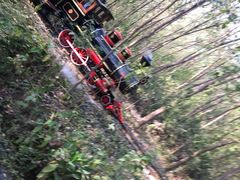 -合肥滨湖国家森林公园