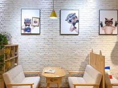 -藏猫猫咖啡主题馆(中央大道店)