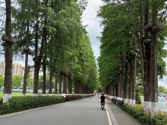 -东湖生态旅游风景区