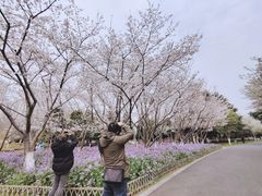 -白塘生态植物园