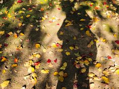 -苏州河梦清园环保主题公园