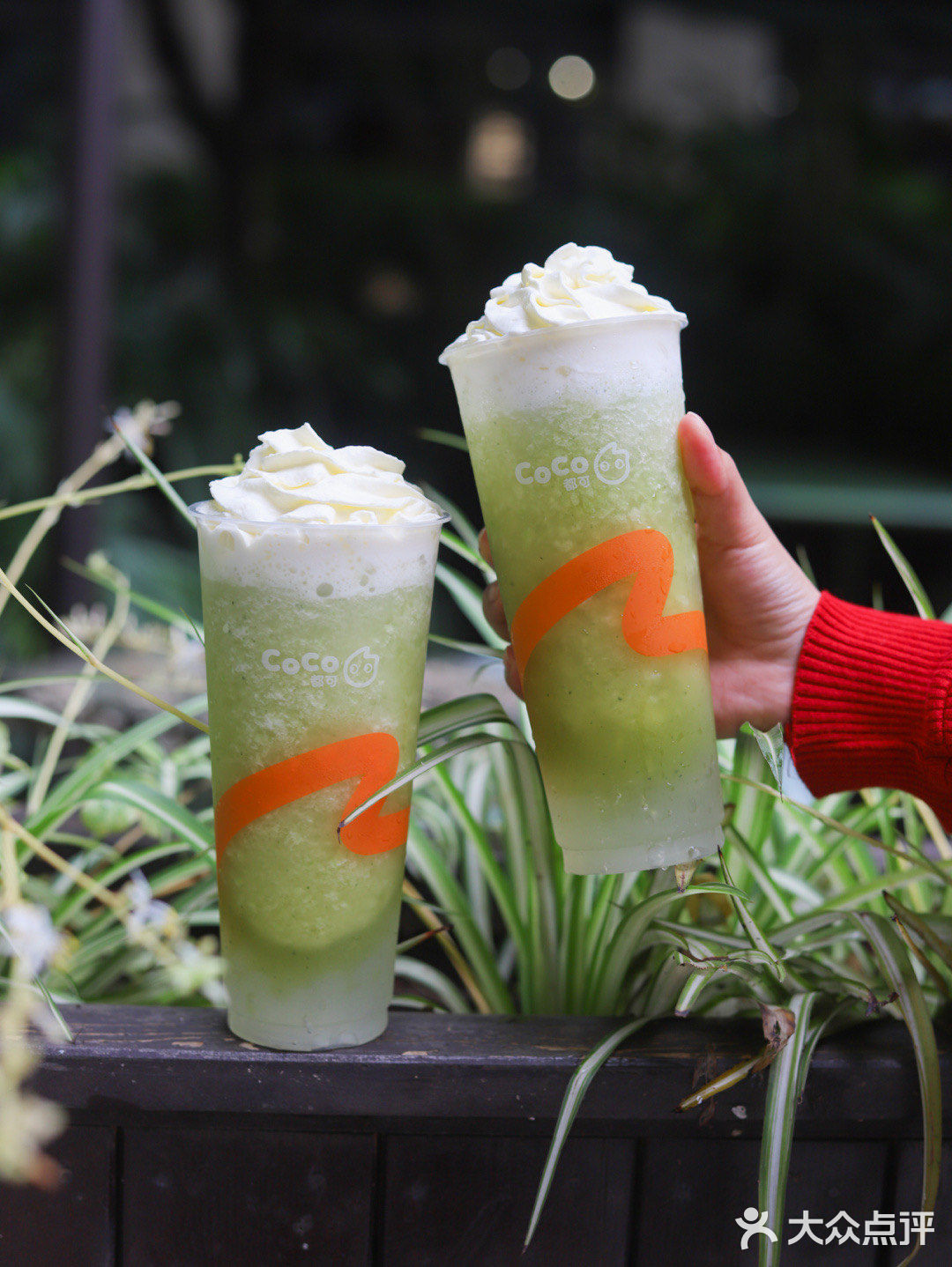 coco新品栀夏玫珑