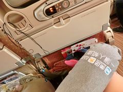 -新加坡航空公司(ION)