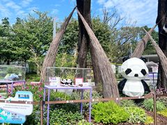 -云溪植物园