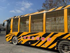 -上海野生动物园老虎餐厅