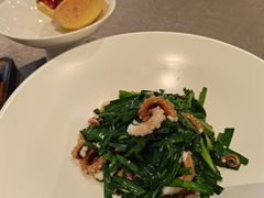 韭菜炒八爪鱼-北京泰富酒店-柏景轩中餐厅