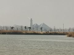 -盐城丹顶鹤湿地生态旅游区