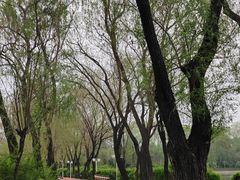 -北陵公园