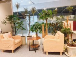 -妈妈时光机医疗产后修复(南山茂业百货店)