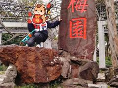 -无锡梅园公园