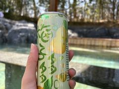 -和园景逸大酒店朗月汤泉