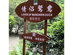 -福建天门山