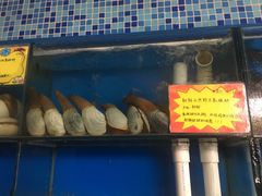 -蚝专家(北滘店)