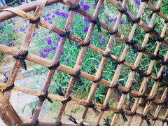 -远山有窑