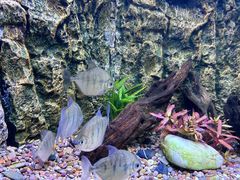 -上海海洋水族馆