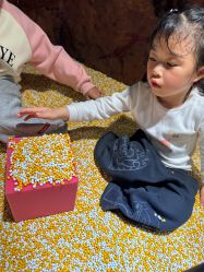 -卡通尼·Safari非洲探索乐园·生日会(金桥国际商业广场店)