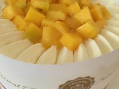 -维尔纳斯·生日蛋糕·动物奶油冰淇淋蛋糕(六里桥店)