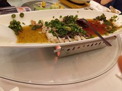 -沪碟·精菜坊(闵行店)