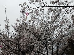 -堤角公园