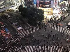-涩谷区