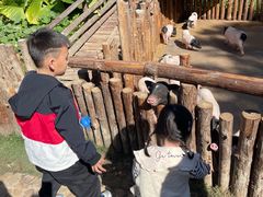 -泉州海丝野生动物世界