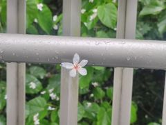 -福道