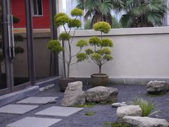 -椿杨樘·明康泡浴养生馆(重庆店)