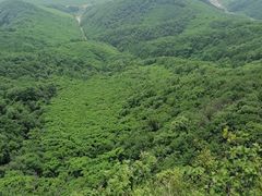 -天女山森林公园