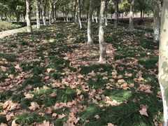 -白塘生态植物园