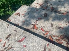 -火炉山森林公园