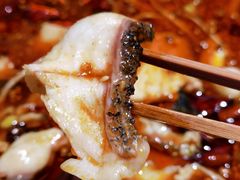 水煮活鱼-蜀都丰 川菜·水煮活鱼(万象九宜城店)