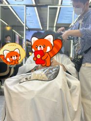 -藤野造型烫发染发