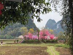 -靖西鹅泉风景区