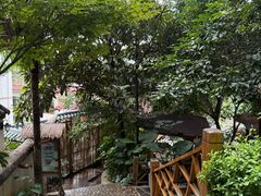 -云涛森林温泉