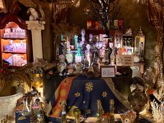 -雪灵魔法世界SHELLY’S TAROT(大良桂畔里店)