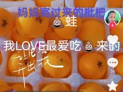 -约翰·菲茨杰拉德·肯尼迪国际机场