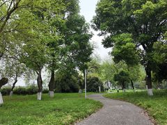 -广州市流溪河国家森林公园