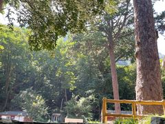 -北京上方山国家森林公园