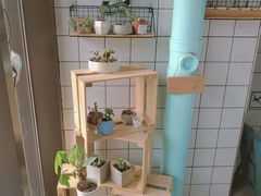 -蜜蜂小象·榴莲千层蛋糕(时代汇11栋店)