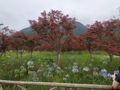 -云漫湖生态度假公园