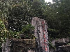 -广州市流溪河国家森林公园