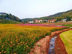 -石燕湖生态旅游景区
