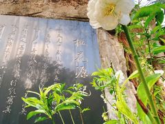 -广州市白云山风景名胜区