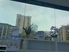 -爱成大坪眼科医院·飞秒近视手术·白内障(大坪院区)