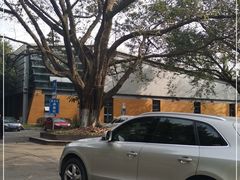 -西南大学（北碚校区）恒温游泳馆