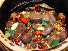 -树厨贵州菜(大十字店)