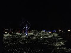 -唐城墙遗址公园
